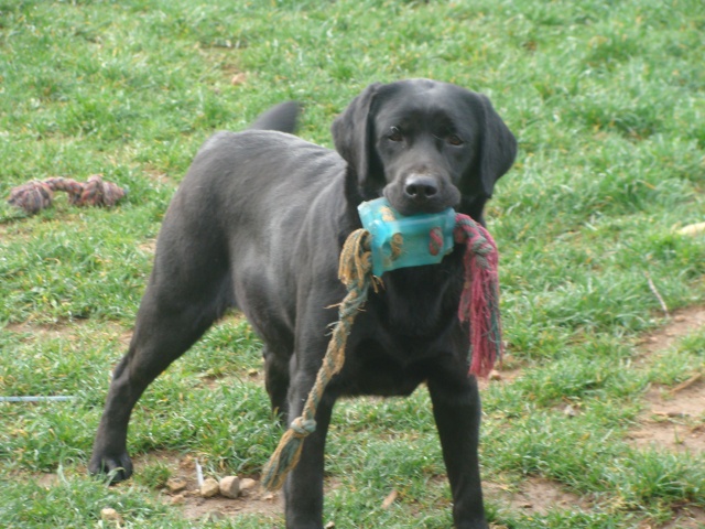 Chabale jake De L'Etang De La Vallée