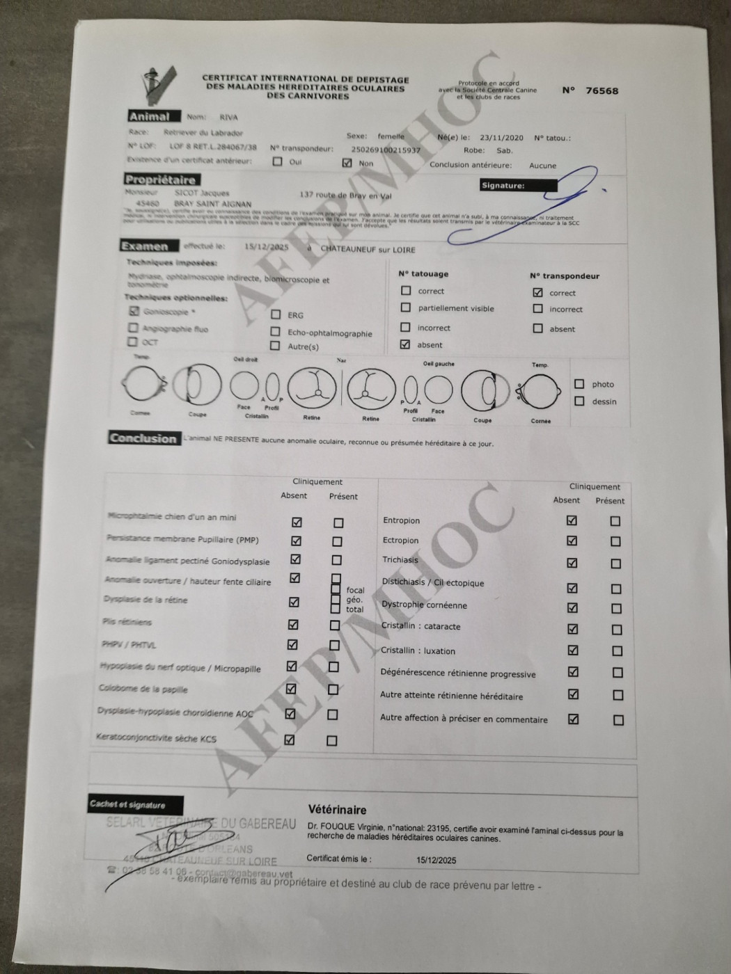 Recherche tares oculaires de RIVA