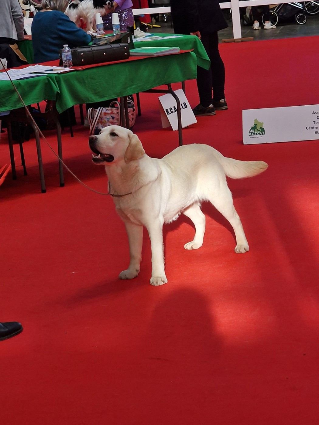 EXPOSITION BOURGES du 7 Février 2026