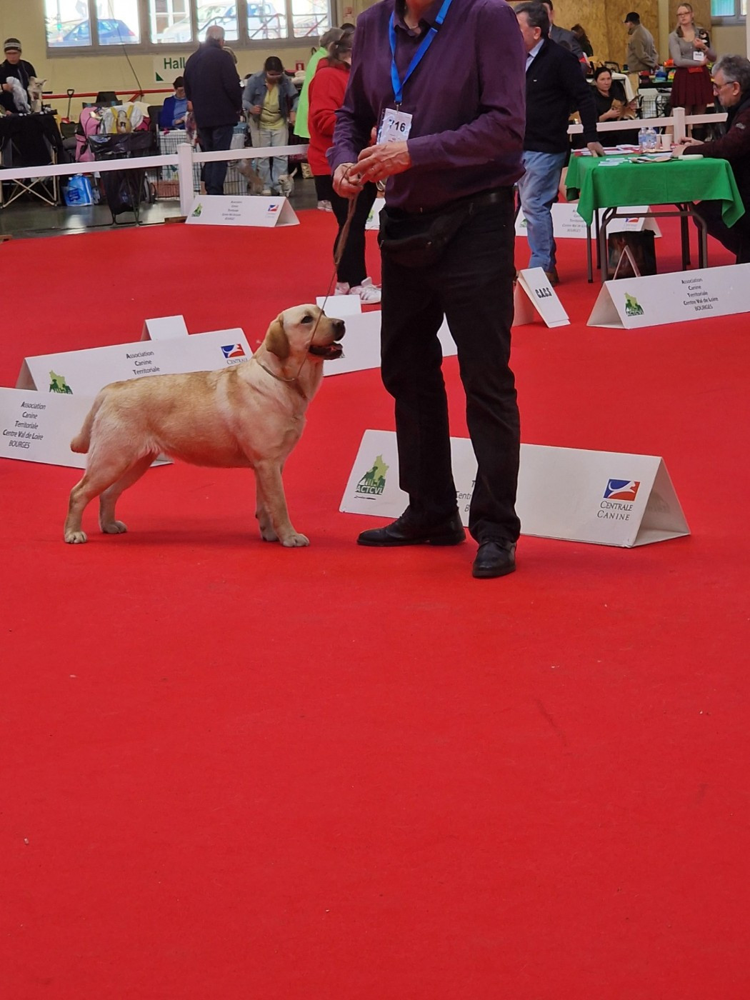 EXPOSITION BOURGES DU 7 Février 2026