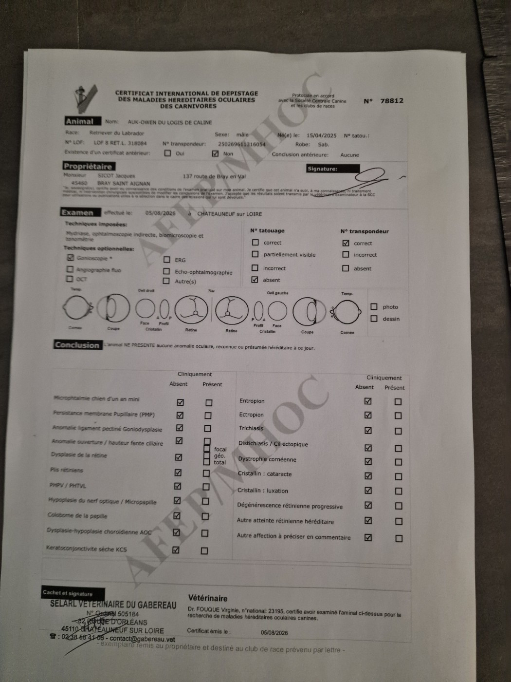 Examen oculaire AUK-OWEN DU LOGIS CALINE